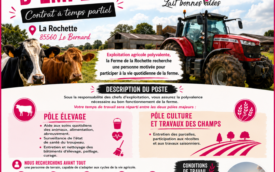 OFFRE EMPLOI
